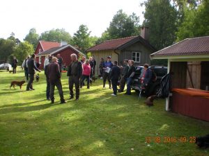 Zuchtschau 2016 in Schweden