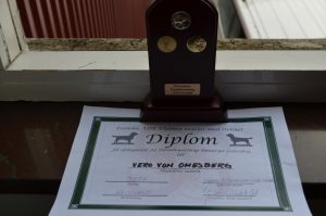 Rassebester Vero vom Omesberg