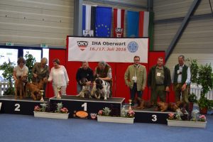 Unsere Dachsbracken im Ehrenring ...