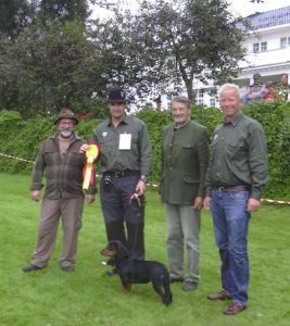 Internationale Kontakte: Dachsbrackentreffen in Staur Gjestegard (Norwegen) - (c) Klub Dachsbracke, 2011