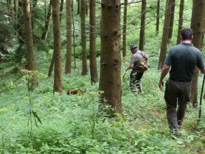 Übungstag Seitenstetten 2016