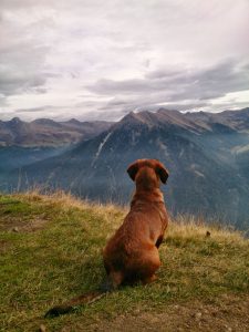 ein herrlicher Ausblick ...