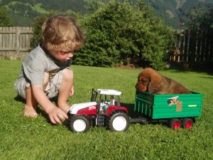 Enkerl von Lois Mattersberger mit „Tira von der Ganzerin“ - Klub Dachsbracke