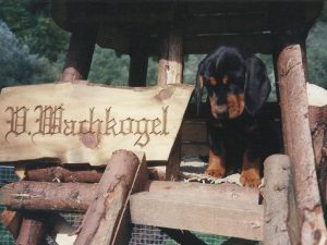 Lenz vom Wachkogel beim Erkunden