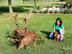 Nora von der Kesselwand - Hundeführer und Besitzer: Erich Dreier aus der Schweiz