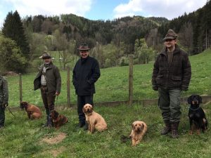 Jagdhunde Vorführung - Jagdkurs Bruck/Mur 2017