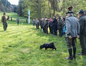 LRA Gerhard Schaffer stellte den angehenden Jungjägern die Jagdhunde gruppenweise vor und erklärte die rassespezifischen Merkmale.
