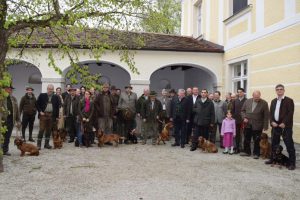 Landestreffen Wien/NÖ/Bgld. 2017 - (c) Klub Dachsbracke