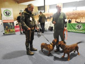 IHA Wieselburg 2017 - Robert Solarzyk mit Caja vom Salzatal und Dr. Burkhard Bietau mit Ursus vom Priselboden