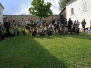 Jagdhunde Vorführung am Bezirksjägertag Mödling 2017 - (c) Klub Dachsbracke