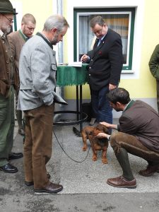 Dachsbracken Formwertbeurteilung durch Dr. Georg Urak und Ing. Thomas Rupp