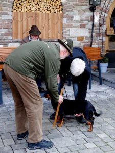 Dachsbracken Formwertbeurteilung durch Lois Mattersberger - Tirol 2017