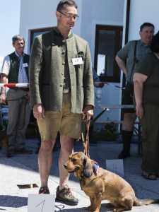 Best of Breed - Bessi von der Sonnseit - Besitzer Walter Angermann – Klub Dachsbracke – Internationale Jagdhunde Zuchtschau 2017