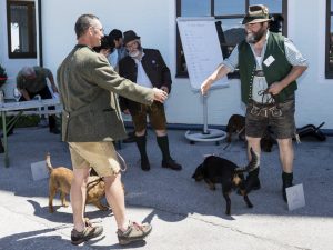 BOB - Bessi von der Sonnseit - Besitzer Walter Angermann und BOS Rudi vom Feistritzgraben - Besitzer Josef Gruber – Klub Dachsbracke – Internationale Jagdhunde Zuchtschau 2017