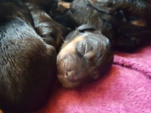 ... folgt ein Schläfchen