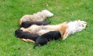 ... die Welt entdecken ...