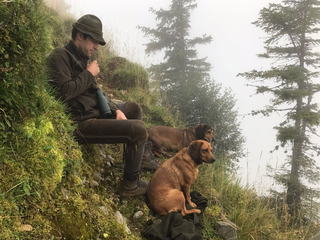 Förster Ing. Thomas Rupp bei der Arbeit mit Chira von Morthbühel im Hintergrund