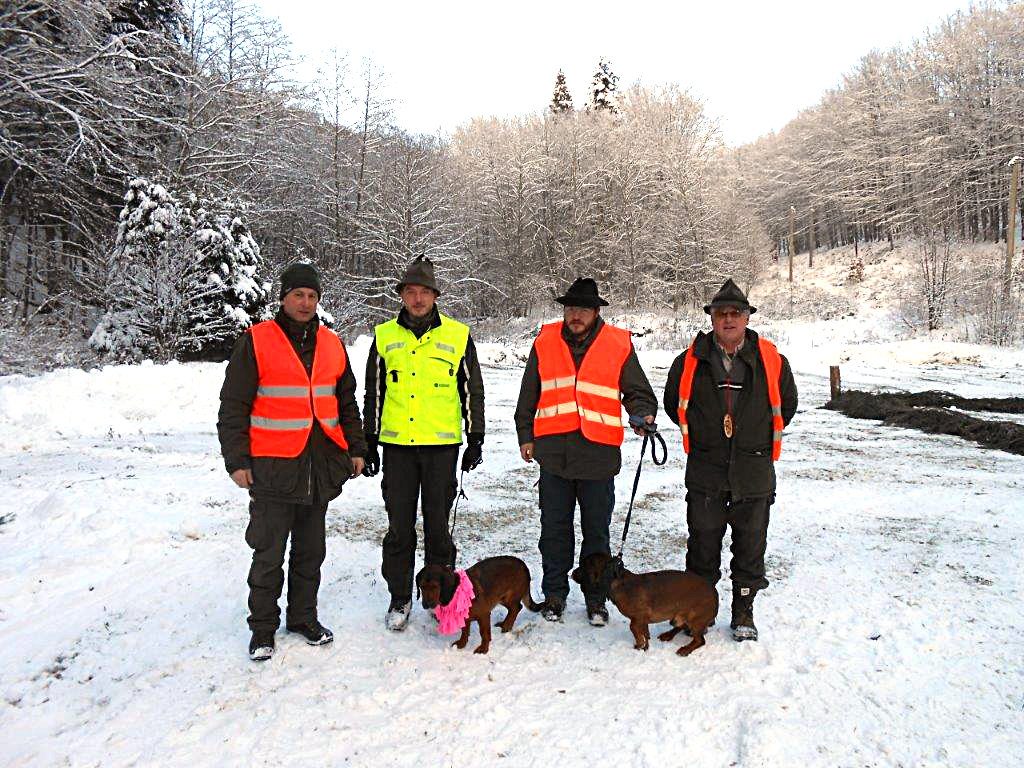 Die beiden Gespanne vom Klub Dachsbracke - Internationale Prüfung für Alpenländische Dachsbracken mit CACIT-Vergabe