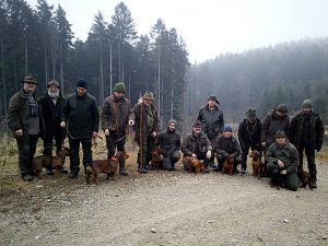 Vorprüfung der lauten Jagd 2018 - Landesgruppe Wien/NÖ/Bgld. - Klub Dachsbracke