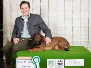 IHA Graz 2018 – BOB für Georg Hubmer mit Eddi vom Schnepfenstein - Klub Dachsbracke