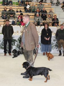 Berufsjäger Rupert Mörth mit Dux von der Hochasteralm - Jagdhundevorführung Trophäenschau Leoben 2018 - Klub Dachsbracke