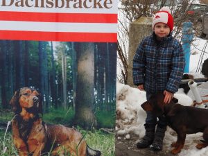 Formwertrichter Schulung und Klubsiegerschau 2018 - Klub Dachsbracke