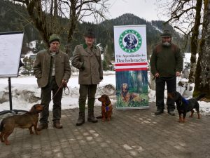 v.l.n.r: Heinz Kolbitsch mit Orka von Althausen, Harald Heil mit Cinda z. Buntova und Josef Gruber mit Rudi vom Feistritzgraben - Klubsiegerschau 2018 - Klub Dachsbracke