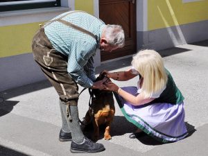 Frau Andrea Prenner begutachtete die Junghunde beim Landestreffen 2018 - Klub Dachsbracke