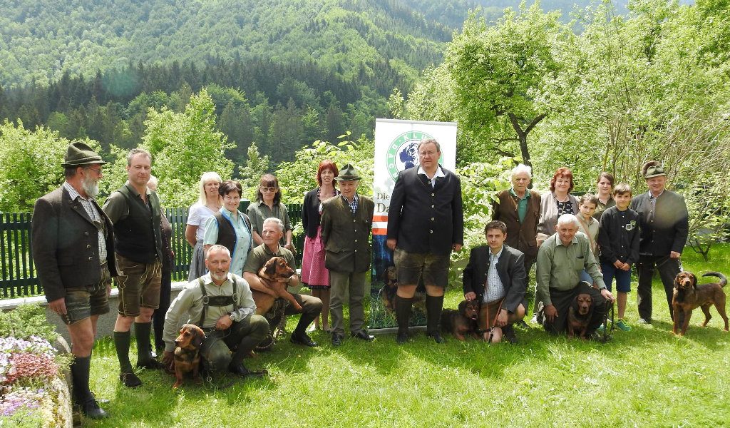 Landestreffen der Landesgruppe Oberösterreich 2018 – Klub Dachsbracke