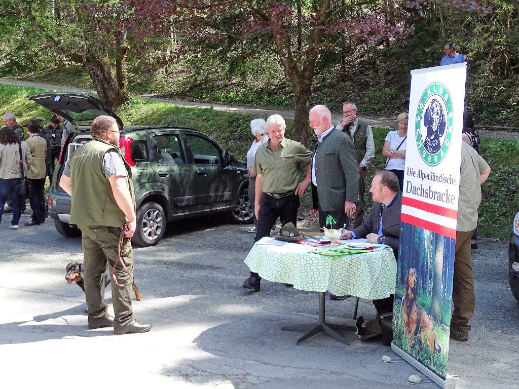 Klubsiegerschau mit CACA-Vergabe - Landestreffen der Landesgruppe Tirol 2018 – Klub Dachsbracke