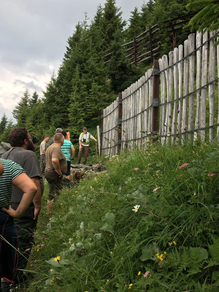 Lawinenverbauungen und Schutzwaldaufforstung - Wandertag der Landesgruppe Vorarlberg 2018 - Klub Dachsbracke