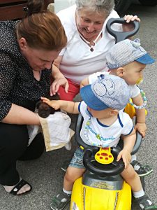 Früh übt sich, wer Meisterführer werden will - Klub Dachsbracke