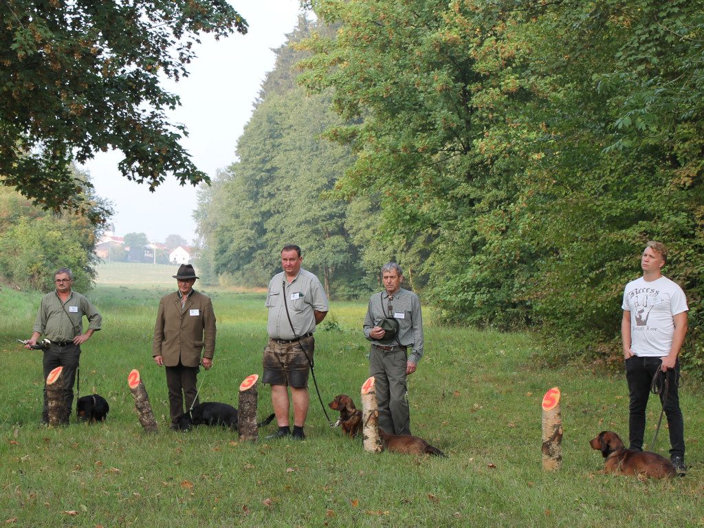 v.l.n.r: Erich Schmidt mit Afra vom Saupurzel (D), Kurt Schleichtinger mit Rango (A), Dr. Georg Urak mit Cilli vom Salzatal (A), Jaroslav Hrbek mit Char z Tisove (CZ) und David Krieg mit Caramel vom Eybholz (D) - XI. Internationaler Leistungsvergleich für Alpenländische Dachsbracken 2018