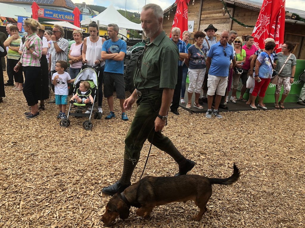 Hansjörg Blöchl mit Elvis von der Pletzenwand - Jagdhundevorstellung auf der Freistädter Messe 2018 - Klub Dachsbracke