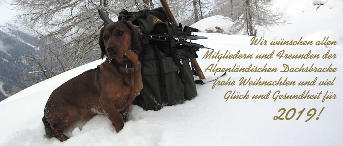 frohe Weihnachten 2018 - Klub Dachsbracke