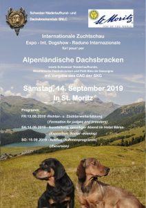 Internationale Zuchtschau für Alpenländische Dachsbracken 2019 in St. Moritz