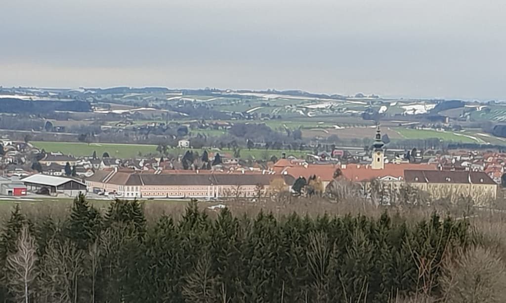 Jagdhunde Vorprüfung 2019 in den Revieren des Stift Seitenstetten - Klub Dachsbracke