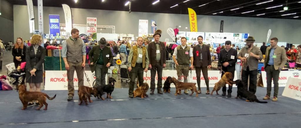 Teilnehmer der Internationalen Hundeausstellung 2019 in Salzburg – Klub Dachsbracke