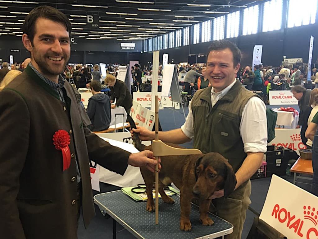 Auch der Spaß kam nicht zu kurz - Internationale Hundeausstellung 2019 Salzburg – Klub Dachsbracke