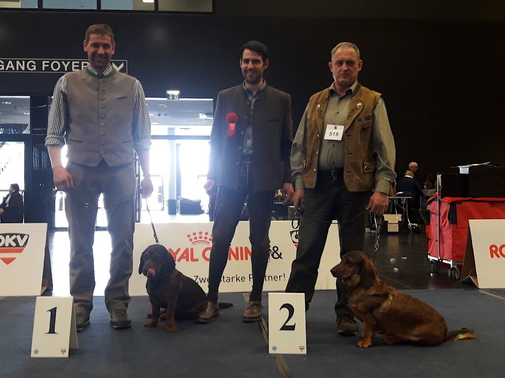 Johannes Tranninger mit Veit von der Mieleralm, Johann Fercher mit Jessi von der Schlossherrnalm - Internationale Hundeausstellung 2019 Salzburg – Klub Dachsbracke