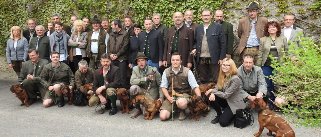 Die Teilnehmer am Landestreffen Steiermark 2019 – (c) Klub Dachsbracke
