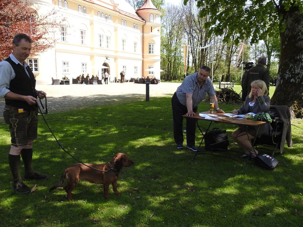 Formwertrichterin Andrea Prenner und Formwertrichter Anwärter Reinhard Wille begutachteten die Welpen und führten die Formwertbeurteilungen durch - Klub Dachsbracke 2019