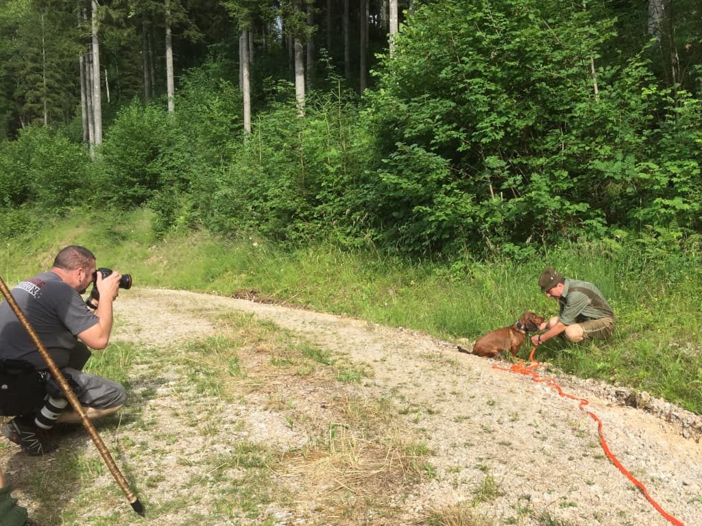 Franz Höhn mit Maya von Niederhart zeigten eine hervorragende Arbeit - Sonderübungstag mit Fotoshooting – Klub Dachsbracke 2019