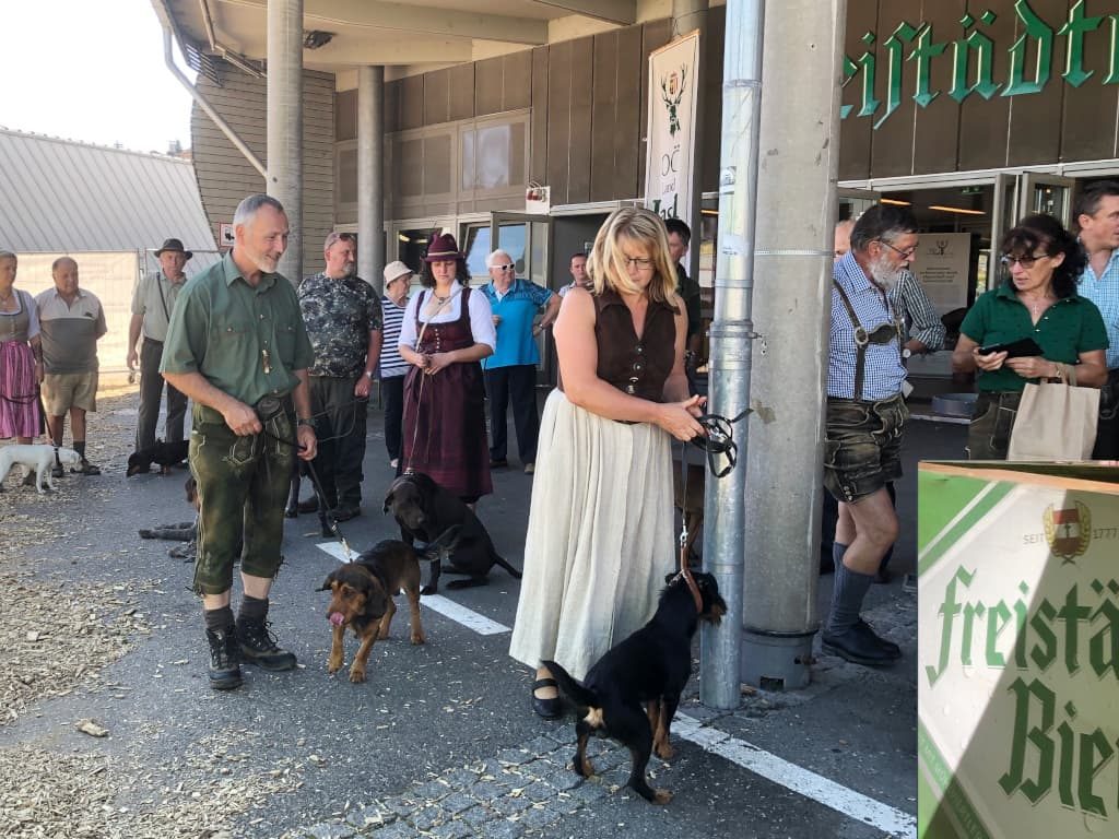 Jagdhundevorstellung auf der Freistädter Wiesn - Klub Dachsbracke 2019