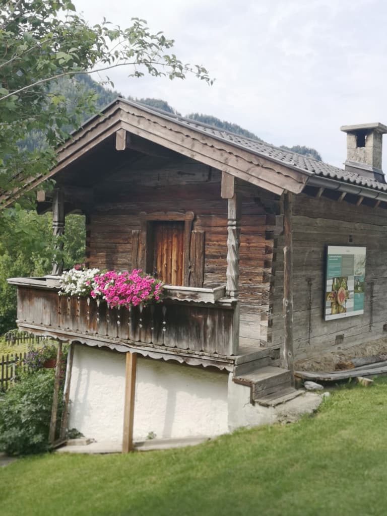 Austråg mit "Bischl" - Wandertag der Landesgruppe Tirol 2019 – Klub Dachsbracke