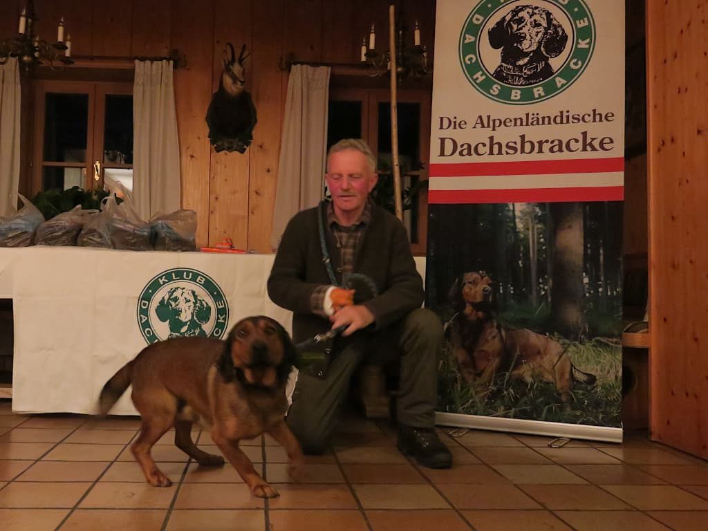 Jimmy von der Schloßherrnalm mit Norbert Röhrer - 553. Gebrauchsprüfung – Klub Dachsbracke 2019
