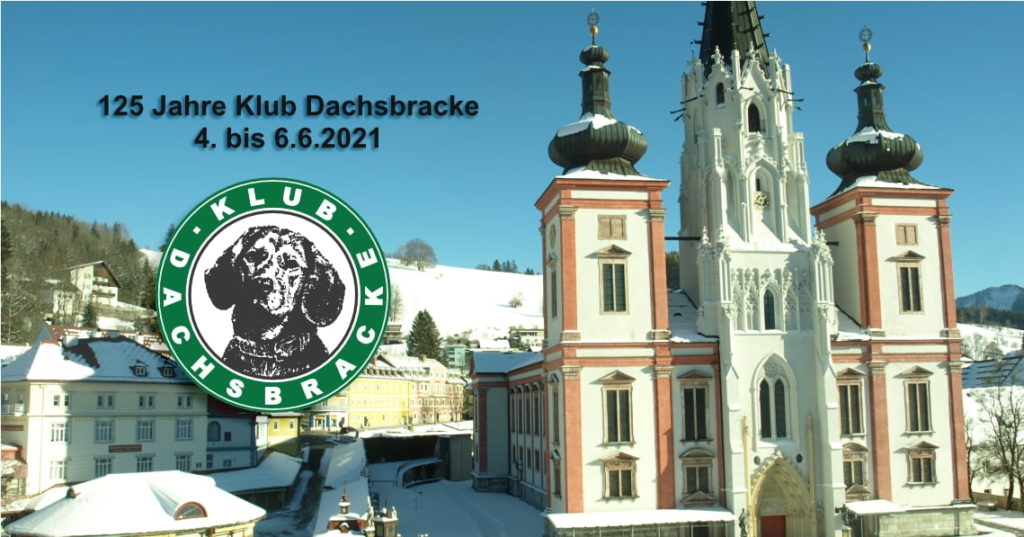 125 Jahre Klub Dachsbracke - 4. bis 6.6.2021 in Mariazell