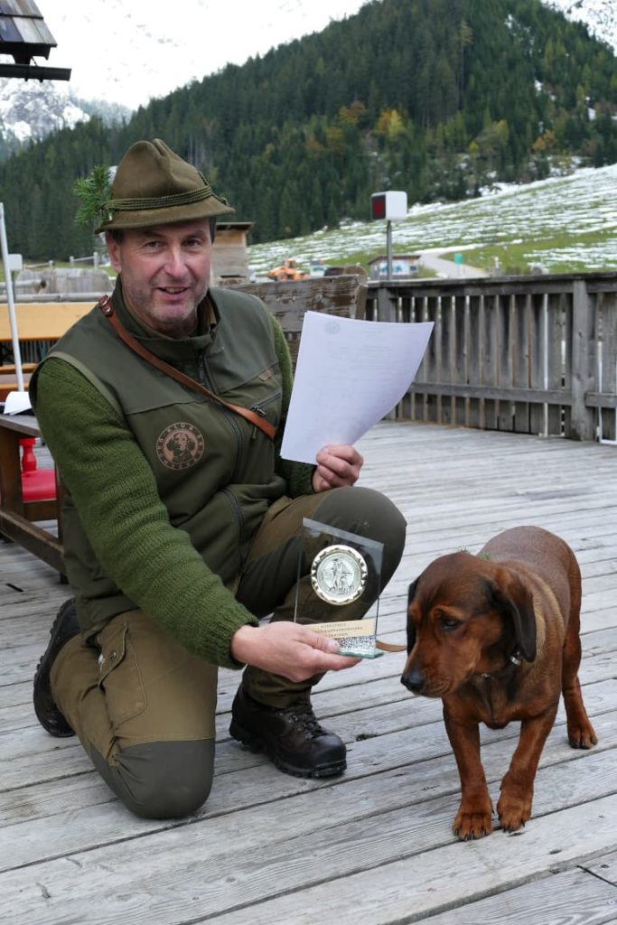 Franz Höhn mit Maya von Niederhart - 555. Gebrauchsprüfung – Klub Dachsbracke 2020