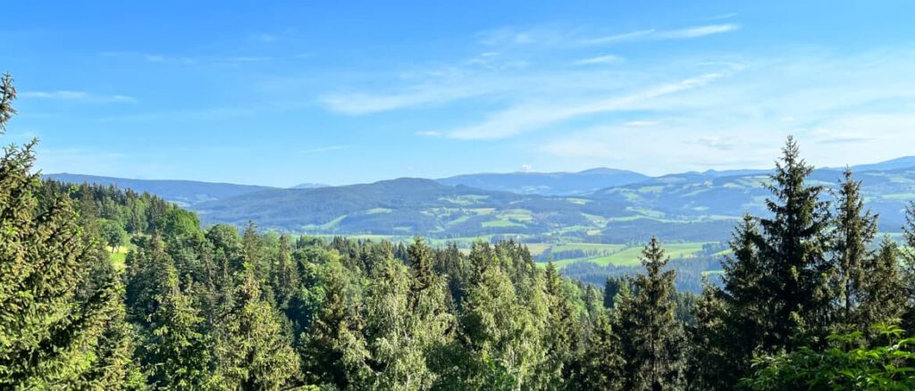 Übungstag der Landesgruppe Steiermark 2022 im Revier Sallegg/Birkfeld – Klub Dachsbracke