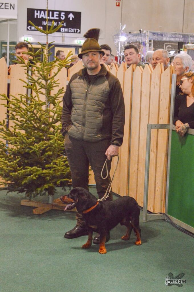 Stefan Viehhauser mit Felix von der Ferschbachalm - Hohe Jagd 2023 - Klub Dachsbracke